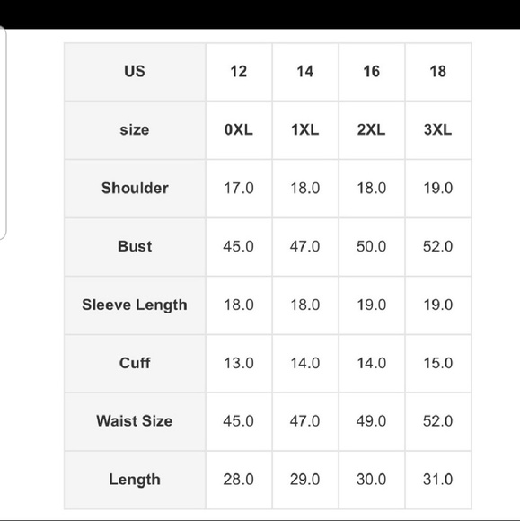 Pink Scalloped Back Blouse - Picture 3 of 3